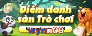 wynn09